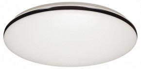 Накладной светильник Sonex Vaka 3042/DL в Агрызе - agryz.mebel24.online | фото 4