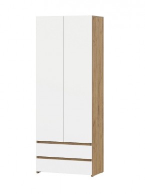 НЕКСТ 1 Шкаф двухстворчатый с ящиками в Агрызе - agryz.mebel24.online | фото