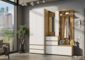 НЕКСТ 1 Вешалка с зеркалом + Шкаф 2-х ств. с ящиками в Агрызе - agryz.mebel24.online | фото