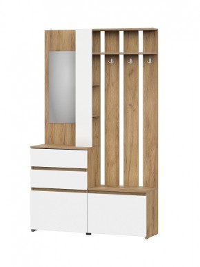 НЕКСТ 1 Вешалка с зеркалом + Шкаф 2-х ств. с ящиками в Агрызе - agryz.mebel24.online | фото 4