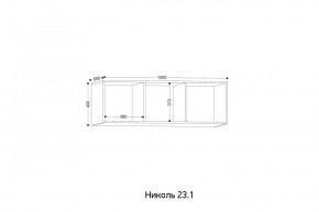 НИКОЛЬ 23.1 Антресоль в Агрызе - agryz.mebel24.online | фото 2