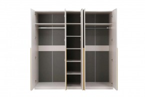НИКОЛЬ 25 Шкаф 5-ти створчатый в Агрызе - agryz.mebel24.online | фото 3