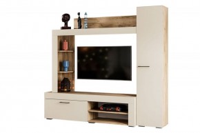 НИКОЛЬ Гостиная (Дуб крафт серый/софт айвори) в Агрызе - agryz.mebel24.online | фото