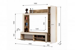 НИКОЛЬ Гостиная (Дуб крафт серый/софт айвори) в Агрызе - agryz.mebel24.online | фото 2