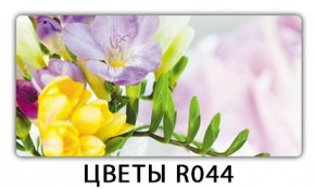 Обеденный раздвижной стол Бриз с фотопечатью Лайм R156 в Агрызе - agryz.mebel24.online | фото 11