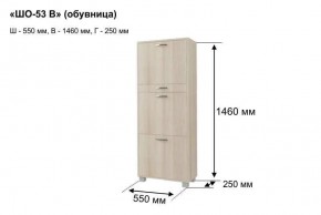 ШО-53 В тумба для обуви в Агрызе - agryz.mebel24.online | фото 8