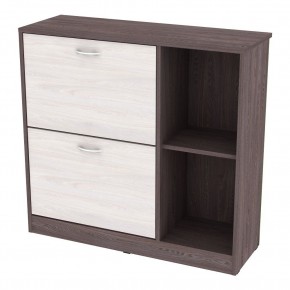Обувница W29 (ЯАТ-ЯАС) в Агрызе - agryz.mebel24.online | фото