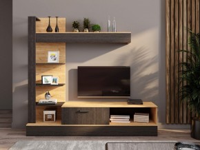 ОСКАР 5 Гостиная (дуб золотой/венге) в Агрызе - agryz.mebel24.online | фото