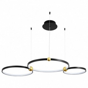 Подвесной светильник Divinare Amadeo 1123/04 SP-75 в Агрызе - agryz.mebel24.online | фото