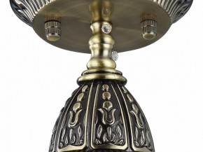 Подвесной светильник Favourite Sorento 1584-1P в Агрызе - agryz.mebel24.online | фото 4