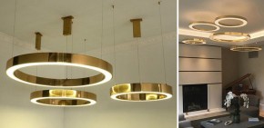 Подвесной светильник Imperiumloft Light Ring Horizontal 40.1454-100 в Агрызе - agryz.mebel24.online | фото 2