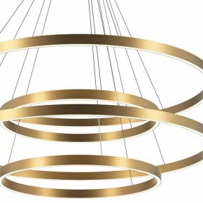 Подвесной светильник Maytoni Rim MOD058PL-L174BSK в Агрызе - agryz.mebel24.online | фото 4