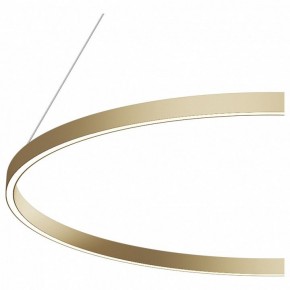 Подвесной светильник Maytoni Rim MOD058PL-L54BS4K в Агрызе - agryz.mebel24.online | фото 5