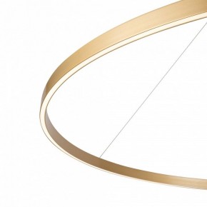 Подвесной светильник Maytoni Rim MOD058PL-L65BSK в Агрызе - agryz.mebel24.online | фото 5