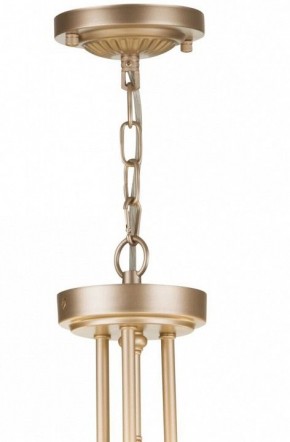 Подвесной светильник Maytoni Roma ARM006PL-06G в Агрызе - agryz.mebel24.online | фото 5