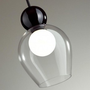 Подвесной светильник Odeon Light Blacky 2 5023/1 в Агрызе - agryz.mebel24.online | фото 6