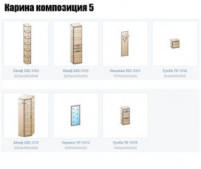 Прихожая Карина (модульная) в Агрызе - agryz.mebel24.online | фото 2