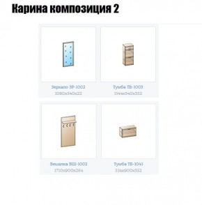 Прихожая Карина (модульная) в Агрызе - agryz.mebel24.online | фото 6