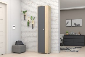 Прихожая Монако-2 (Дуб Сонома/Графит) в Агрызе - agryz.mebel24.online | фото 11