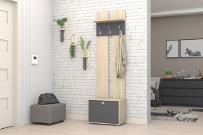 Прихожая Монако-2 (Дуб Сонома/Графит) в Агрызе - agryz.mebel24.online | фото 2