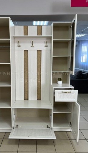 Прихожая "ПА-07" Александрия в Агрызе - agryz.mebel24.online | фото 2