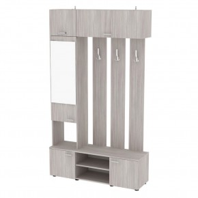 Прихожая с зеркалом V23_M (ЯШС) в Агрызе - agryz.mebel24.online | фото