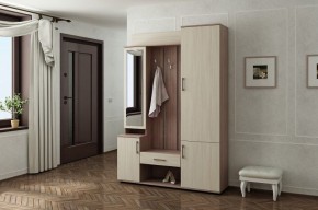 ВИЗИТ Прихожая в Агрызе - agryz.mebel24.online | фото 4