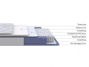 PROxSON Матрас Active Duo S/F (Ткань Трикотаж Эко) 160x190 в Агрызе - agryz.mebel24.online | фото 3