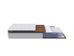 PROxSON Матрас Active F Roll (Ткань Трикотаж Эко) 160x190 в Агрызе - agryz.mebel24.online | фото 1