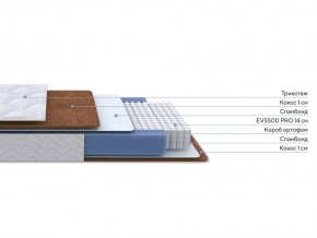 PROxSON Матрас Active F Roll (Ткань Трикотаж Эко) 160x195 в Агрызе - agryz.mebel24.online | фото 2