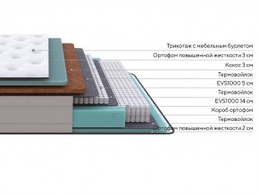 PROxSON Матрас Elysium Firm (Трикотаж Spiral-RT) 120x200 в Агрызе - agryz.mebel24.online | фото 2