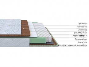 PROxSON Матрас Green Duo M/F (Tricotage Dream) 140x195 в Агрызе - agryz.mebel24.online | фото 2