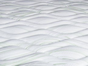 PROxSON Матрас Green F (Tricotage Dream) 80x200 в Агрызе - agryz.mebel24.online | фото 8
