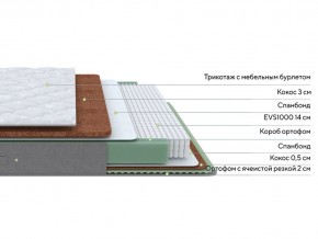PROxSON Матрас Lux Duo M/F (Non-Stress) 120x200 в Агрызе - agryz.mebel24.online | фото 3
