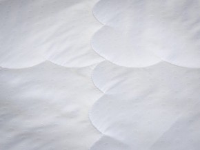 PROxSON Одеяло лёгкое PROSON (Стеганное полотно) 172x200 в Агрызе - agryz.mebel24.online | фото 4