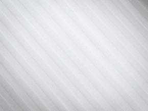PROxSON Подушка Terra Ergo (Страйп сатин) 40x60 в Агрызе - agryz.mebel24.online | фото 8