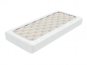 PROxSON Защитный чехол Aqua Save Light M (Ткань влагостойкая Tencel Jersey) 90x200 в Агрызе - agryz.mebel24.online | фото 2