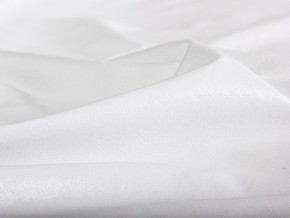 PROxSON Защитный чехол Aqua Save Light Top (Ткань влагостойкая Tencel Jersey) 90x195 в Агрызе - agryz.mebel24.online | фото 5