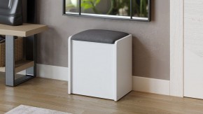 Пуф-сундук Бостон в Агрызе - agryz.mebel24.online | фото 3