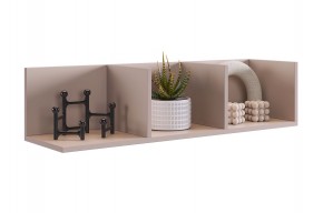 РИЧ Полка навесная 2 в Агрызе - agryz.mebel24.online | фото 7