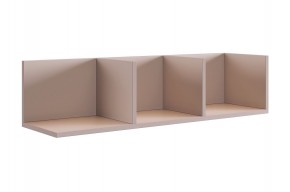 РИЧ Полка навесная 2 (кашемир) в Агрызе - agryz.mebel24.online | фото