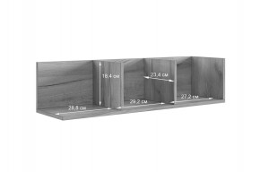 РИЧ Полка навесная 2 (кашемир) в Агрызе - agryz.mebel24.online | фото 3