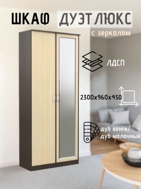 Шкаф 2-х створчатый Дуэт Люкс с зеркалом в Агрызе - agryz.mebel24.online | фото