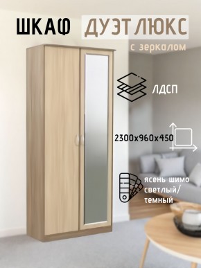Шкаф 2-х створчатый Дуэт Люкс с зеркалом в Агрызе - agryz.mebel24.online | фото 4