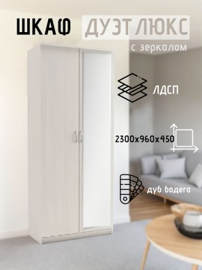 Шкаф 2-х створчатый Дуэт Люкс с зеркалом в Агрызе - agryz.mebel24.online | фото 5