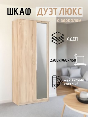 Шкаф 2-х створчатый Дуэт Люкс с зеркалом в Агрызе - agryz.mebel24.online | фото 7