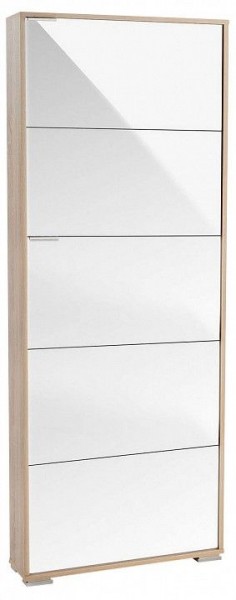 Шкаф для обуви Viva-5LW в Агрызе - agryz.mebel24.online | фото