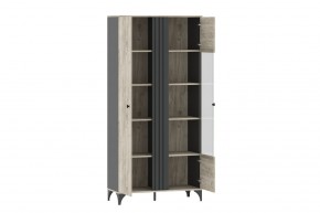 Шкаф комбинированный НМ 040.10 "Отис" в Агрызе - agryz.mebel24.online | фото 2