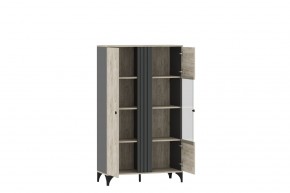 Шкаф комбинированный НМ 040.11 "Отис" в Агрызе - agryz.mebel24.online | фото 2