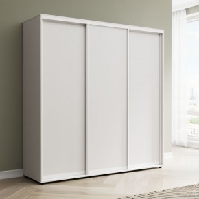 Шкаф-купе Акцент-Сим Д 2400-600 в Агрызе - agryz.mebel24.online | фото 1